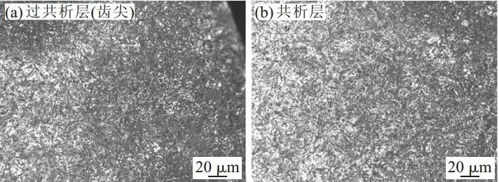 泰興減速機,減速機,泰興減速機廠,江蘇泰強減速機有限公司